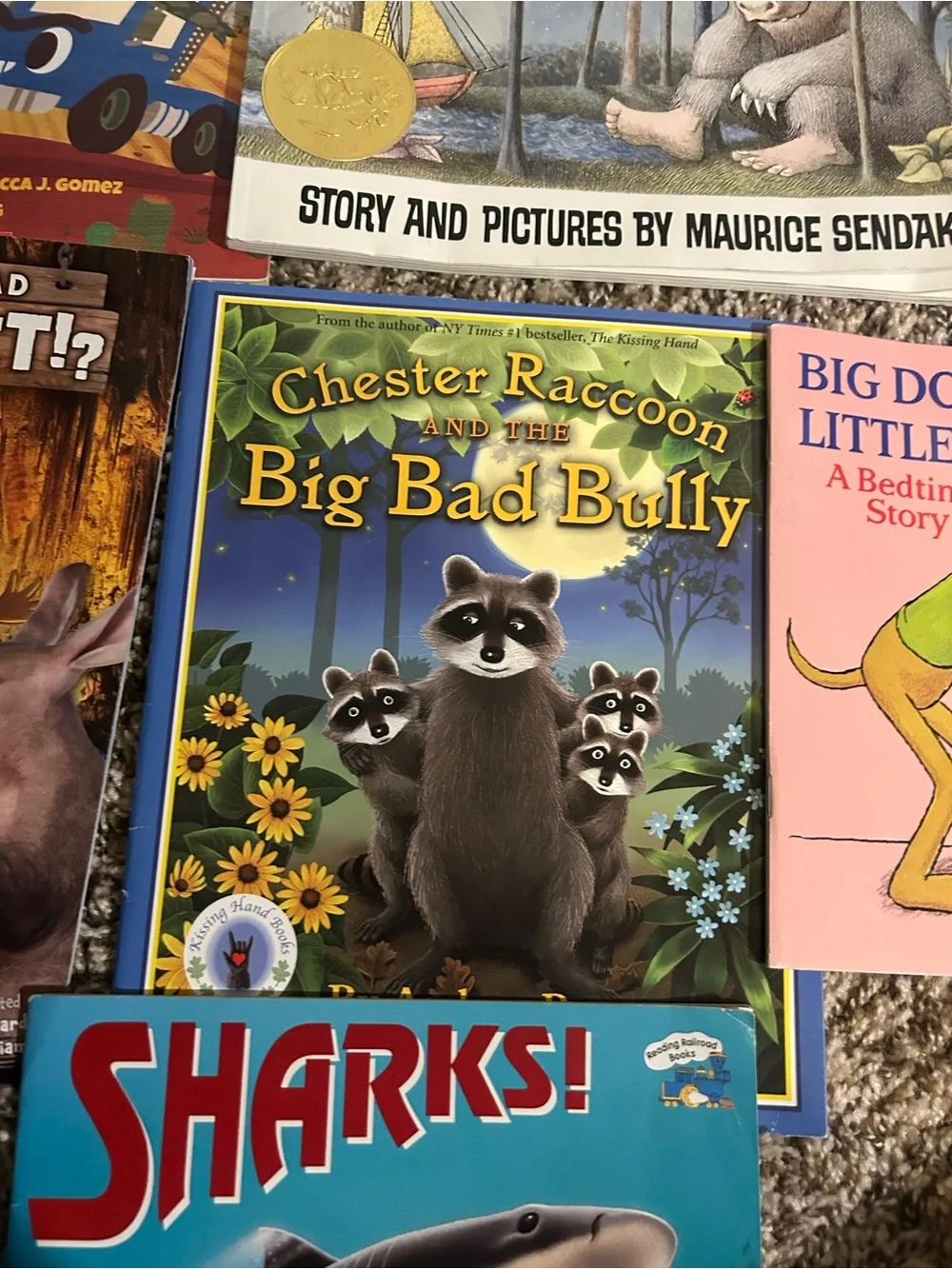 Assorted Kids Picture Books - Lot of 10